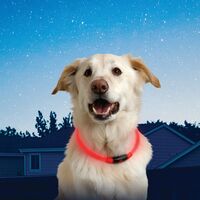 NITE IZE  NiteHowl  LED式犬用安全ネックレス レッド (NHO-10-R3) / NITEHOWL NECKLACE RED