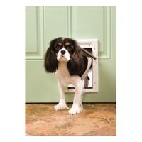 PetSafe  ペット用ドア スモール (PPA00-10958) / PET DOOR PLST SML