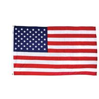 Valley Forge ナイロン製星条旗 (US4PN) / FLAG NYLON 4X6' US