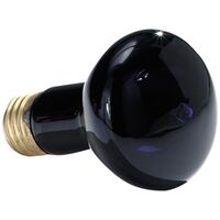 GE Lighting  Black Light  白熱電球ブラックライトスポットライト 75W 6パック (22748)