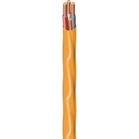 Southwire 非金属屋内用ワイヤー 15m (63948422) / WIRE 10/3 NM-WG 50'