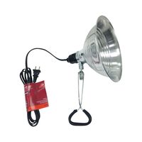 Ace クランプライト 150W 6パック (4151) / LAMP CLAMP 18/2 SPT-2 6'