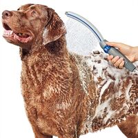 Waterpik WaterComb ペット用ワンド  プロ仕様バスシステム (PPR-252E) / WATERPIK PET WAND PRO