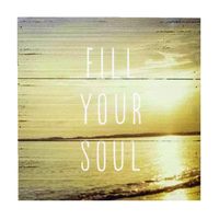 Hallmark 装飾プレート 2枚セット (1SCE1000) / FILL YOUR SOUL