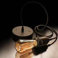 Feit Electric ペンダントライト 1ライト ブラック (PN/BLK) / PENDANT ADJ BLK 55" 60W