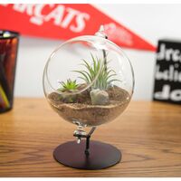 Panacea スタンド付テラリウム (82149) / TERRARIUM W/STAND 4.5"D