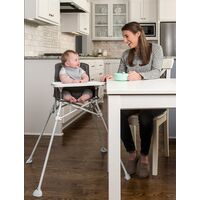 Regalo My Portable High Chair ポータブルブースターシート (3612)