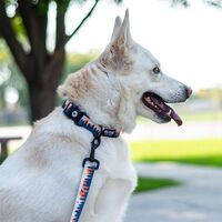 Wolfgang OverLand 犬用首輪 Sサイズ (WC-001-13)