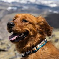 Wolfgang OverLand 犬用首輪 Mサイズ (WC-002-13)