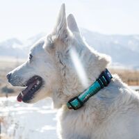 Wolfgang GreatEscape 犬用首輪 Lサイズ (WC-003-38)