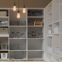 Feit フィラメントLED電球 2個入 (ST19/VG/LED/2)