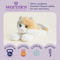 Warmies ぬいぐるみ 三毛猫ジュニア (CPJ-CAT-5)
