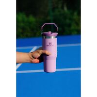Stanley Ice Flow 断熱性ストロータンブラー ライラック 4個セット (10-12043-007)