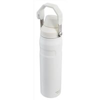 Stanley IceFlow Fast Flow 断熱性ボトル フロスト 4個セット (10-11288-104)