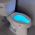 IllumiBowl トイレ用自動カラーチェンジナイトライト (748252039392) / NIGHTLIGHT TOILET MOTION