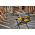 DeWalt コンパクトテーブルソー 8-1/4インチ