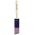 Benjamin Moore ソフトアングルペイントブラシ (U62015-017) / PNT BRSH POLY SOFT 1.5"