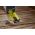 DeWalt ToughSeries メジャーテープ (DWHT36916S) / TAPE MEASRE BLK/YLW 16FT