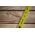 DeWalt Atomic コンパクトメジャーテープ (DWHT38125S) / TAPE MEASURE ATOMIC 25'L