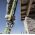 Little Giant ラダー用アクセサリー (15047-002) / LADDER ACCES PLAST 12"L