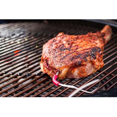 Weber 肉用温度探査計 ( 7211) /  IGRILL PRO MEAT PROBE
