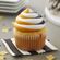 Wilton Color Swirl  カプラーデコレーションセット (191001639)