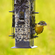 Perky-Pet  リス除けガード付バードフィーダー 2個セット (336) / FEEDR BIRDSCAPE SQRL PRF