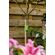 VELCRO  植物用結束バンド 6個入 (90633ACS) / TIE TREE 2"X18' GREEN