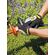 Ironclad 男性用高耐久性グローブ ブラック グレー M (HUG-03-M) / GLOVES HVY UTILITY MED