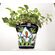 AVERA PRODUCTS  プランター 4個セット (APG025055C1) / CONO PLANTER 5.5"