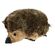 Aspen Pet  犬用ハリネズミぬいぐるみ (07610) / DOG TOY HEDGEHOG PLUSH