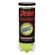 Penn  Championship  テニスボール 3個入 (521001) / TENNIS BALL YELLOW CAN 3