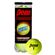 Penn  Championship  テニスボール 3個入 (521001) / TENNIS BALL YELLOW CAN 3