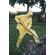 Boulder Creek ビニール製レインスーツ  XXL (61215CM) / RAINSUIT 2PC XXL YELLOW