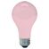 GE Lighting 白熱電球 ピンク 60W 2個入 12パック (97483)