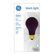 GE Lighting Black Light 白熱電球 ブラックライト 60W 6パック (25905)
