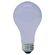 GE Lighting  植物用白熱電球 デイライト 60W 6パック (41624)
