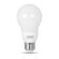 Feit Electric  LED電球 マルチカラー 9/16ワット (A19/LED/PARTY) / LED PARTY BULB A19