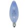 GE Lighting Reveal 装飾白熱電球 ウォームホワイト 60W 2個入6パック (48714)