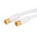 ACE ビデオ用同軸ケーブル 22.5ｍ 2パック (3167764) / CABLE COAX RG6 75' WHT