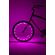 Brightz Ltd wheelbrightz 自転車用LEDライトキット ピンク (L2392) / LIGHT KIT BIKE WHLS PINK