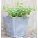 Novelty Artstone フラワーポット スクエア グレー (35120) / PLANTER SQR ELLA 12" GRY