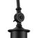 Globe Electric Aedan 1ライトウォールスコーン ブラック (44095) / WALL SCONCE AEDAN BLK