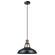 Globe Electric Robin シーリングライト アンティークブラス (60893) / CEILING LITE AB 60W 12"L