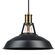 Globe Electric Robin シーリングライト アンティークブラス (60893) / CEILING LITE AB 60W 12"L