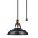 Globe Electric Robin シーリングライト アンティークブラス (60893) / CEILING LITE AB 60W 12"L