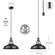 Globe Electric Robin シーリングライト アンティークブラス (60893) / CEILING LITE AB 60W 12"L