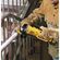 DeWalt アングルグラインダー (DCG412B) / ANGLE GRINDER 4.5"20V BT