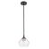 Globe Electric Harrow シーリングライト マットブラック (60312) / CEILING LT MTBLK 60W 8"L