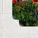 Gorilla Home & Office  高強度取付パテ 8パック (102745) / MOUNTING PUTTY HS 2OZ